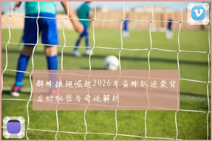 群蜂振翅崛起2026年黄蜂队逆袭背后的秘密与奇迹解析