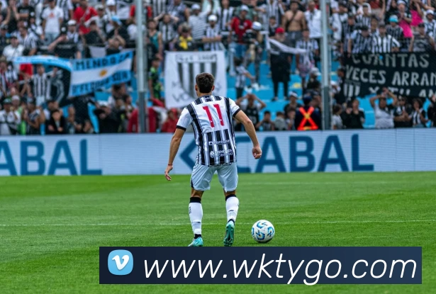 悟空体育平台生态图